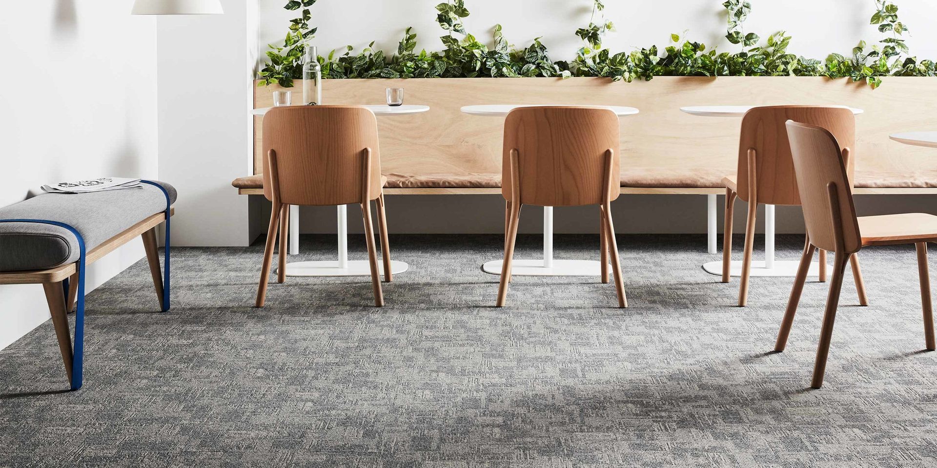 Modern room with wooden chairs around a long table, green plants, and a gray carpet beneath. — Hoppens Floorworld in Gordonvale, QLD