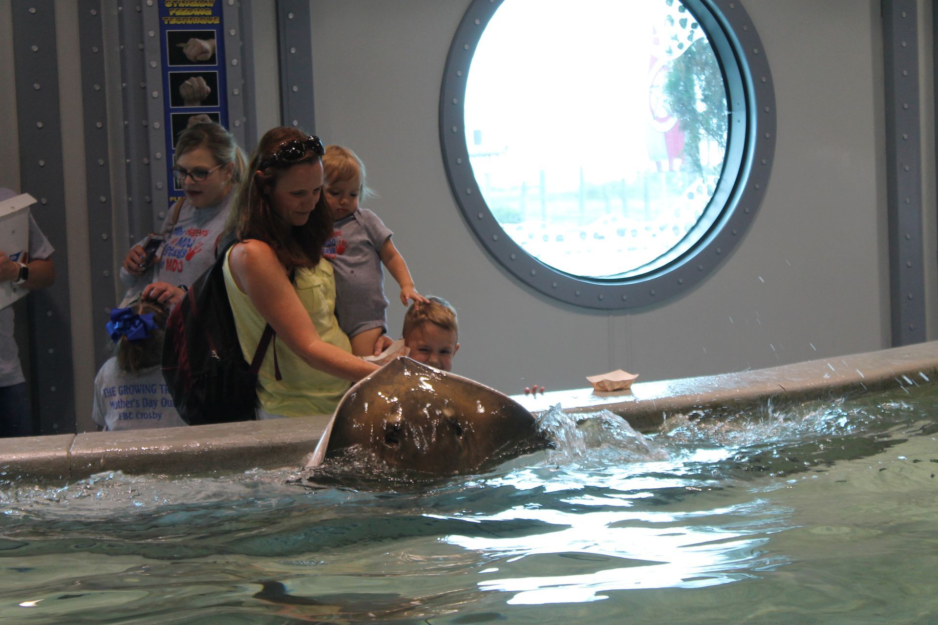 A woman petting a stingray 
