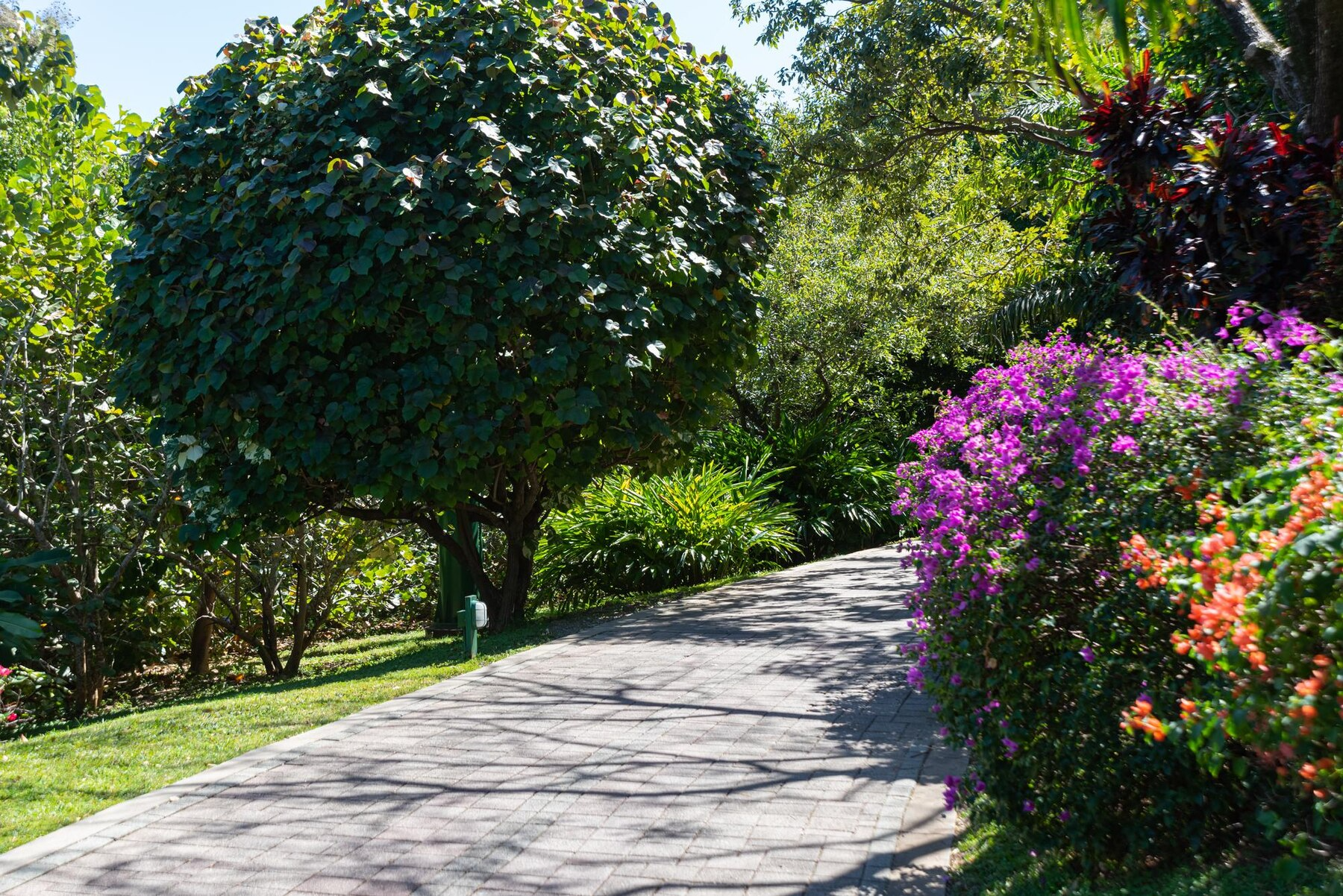 A stone path surrounded by trees and flowers in a park.