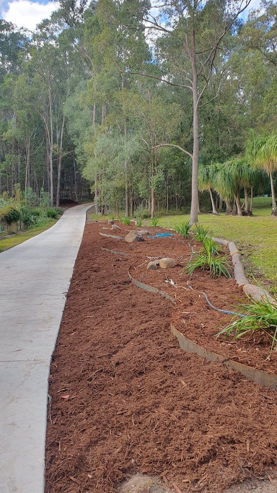 A concrete walkway surrounded by mulch and trees in a park.