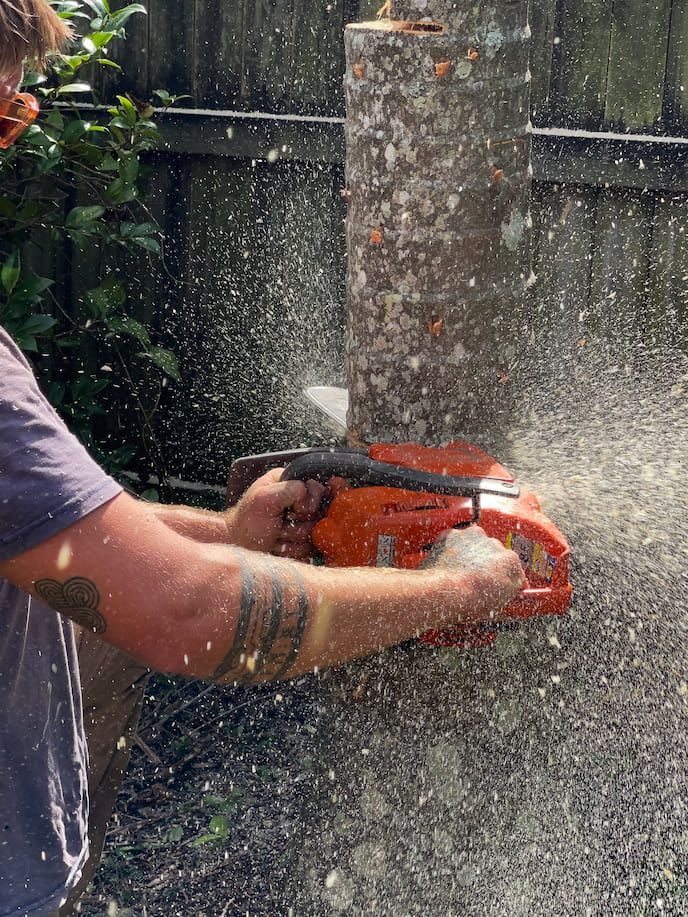 A person cutting a tree in Brisbane