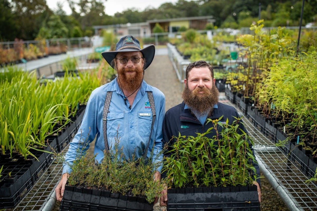 IndigiScapes Nursery