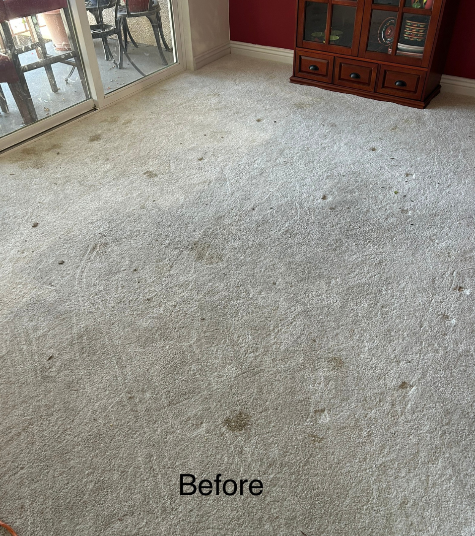 Carpeted living room before cleaning, with scattered stains and a cabinet against a red wall.
