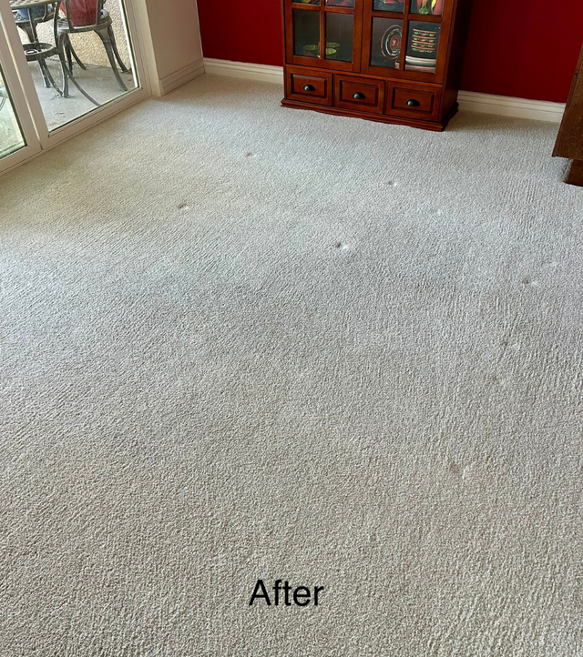 Carpet cleaning comparison: “Before” and “After” views of a lighter, cleaner carpet.