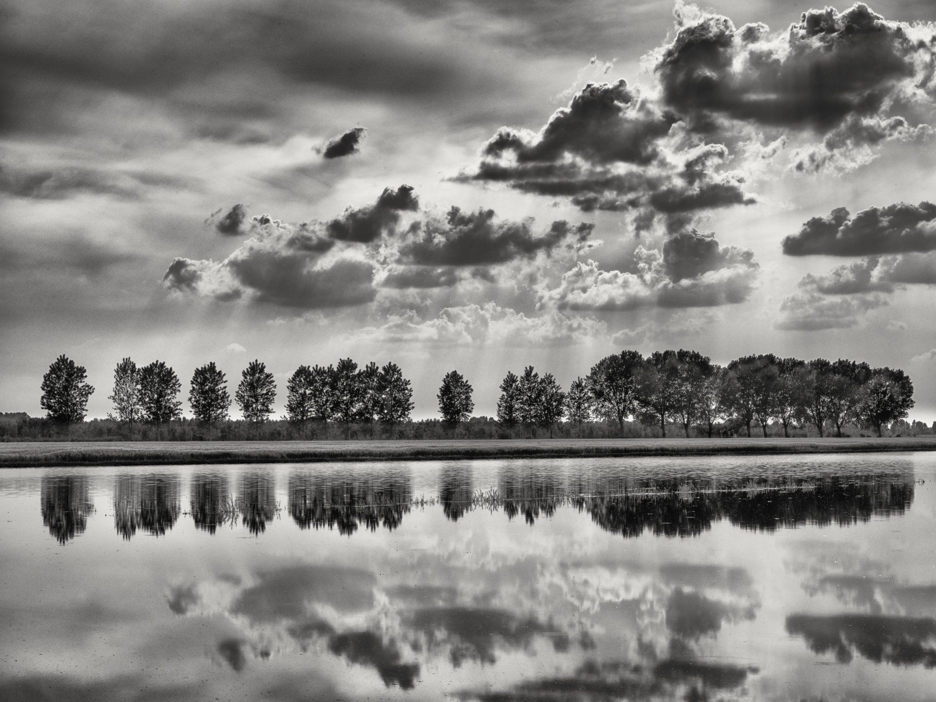 foto gorzegno