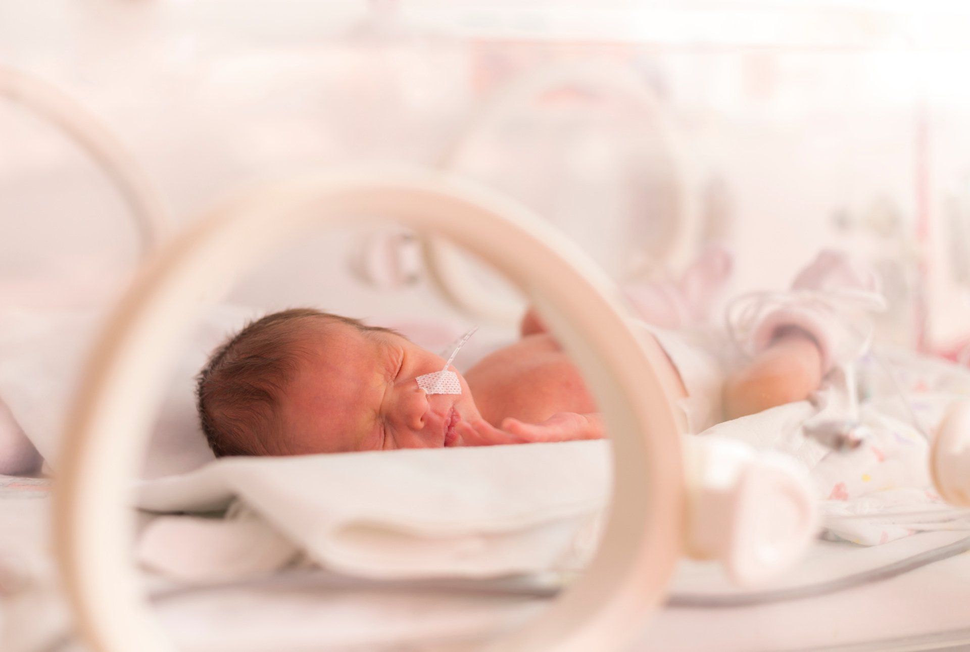 Premature baby in incubator