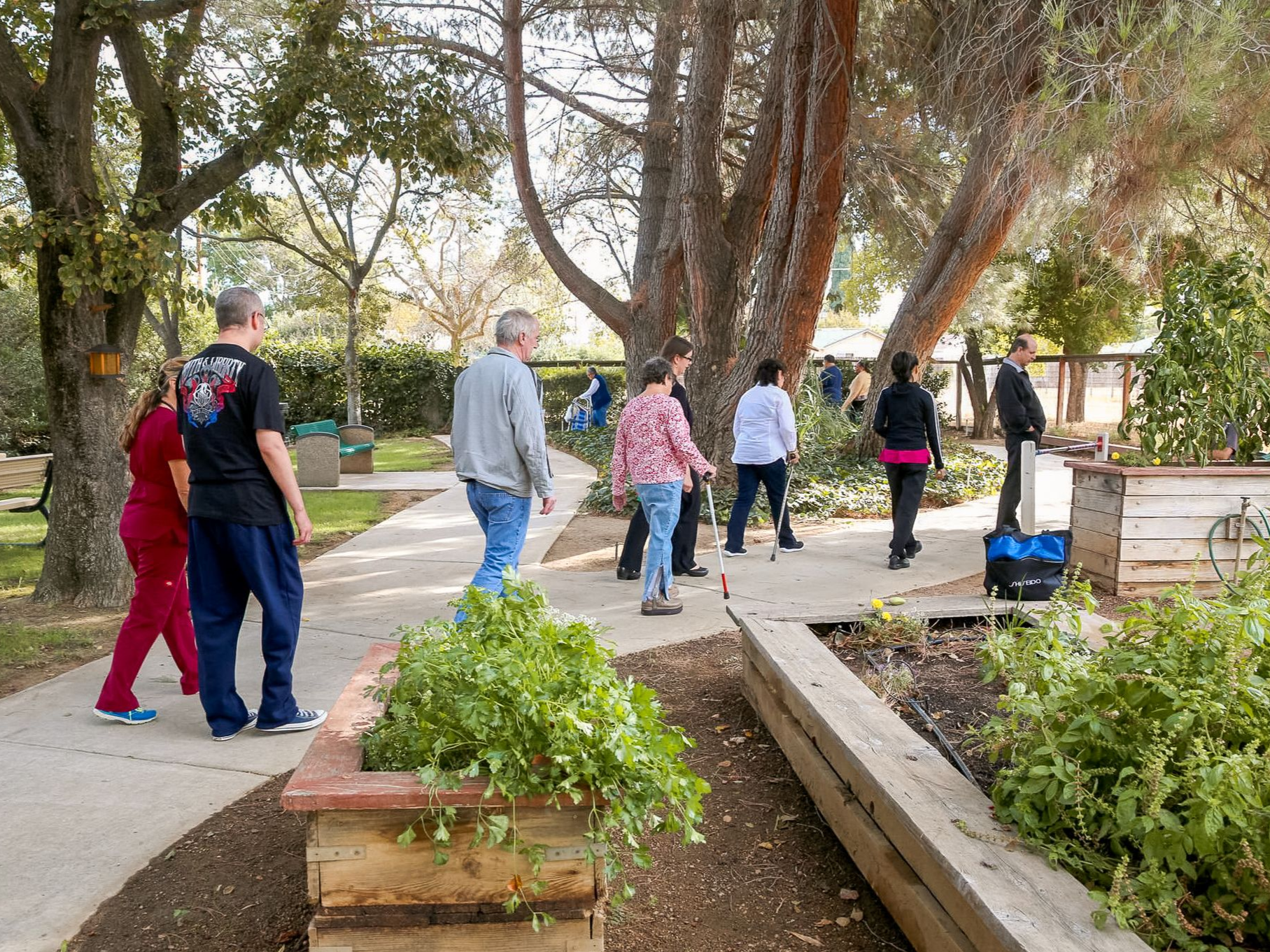 People walking along a tree-lined park path beside raised garden beds and a bench