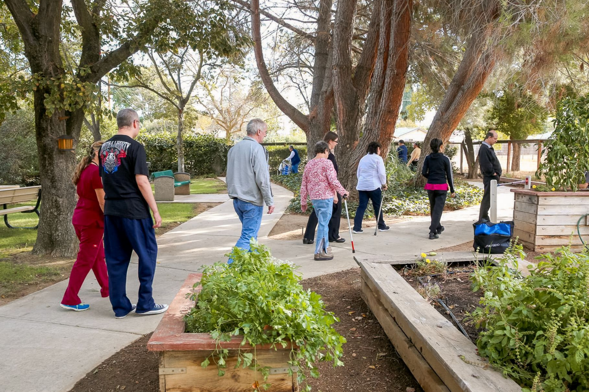 People walking on a paved path through a park with trees and raised garden beds.