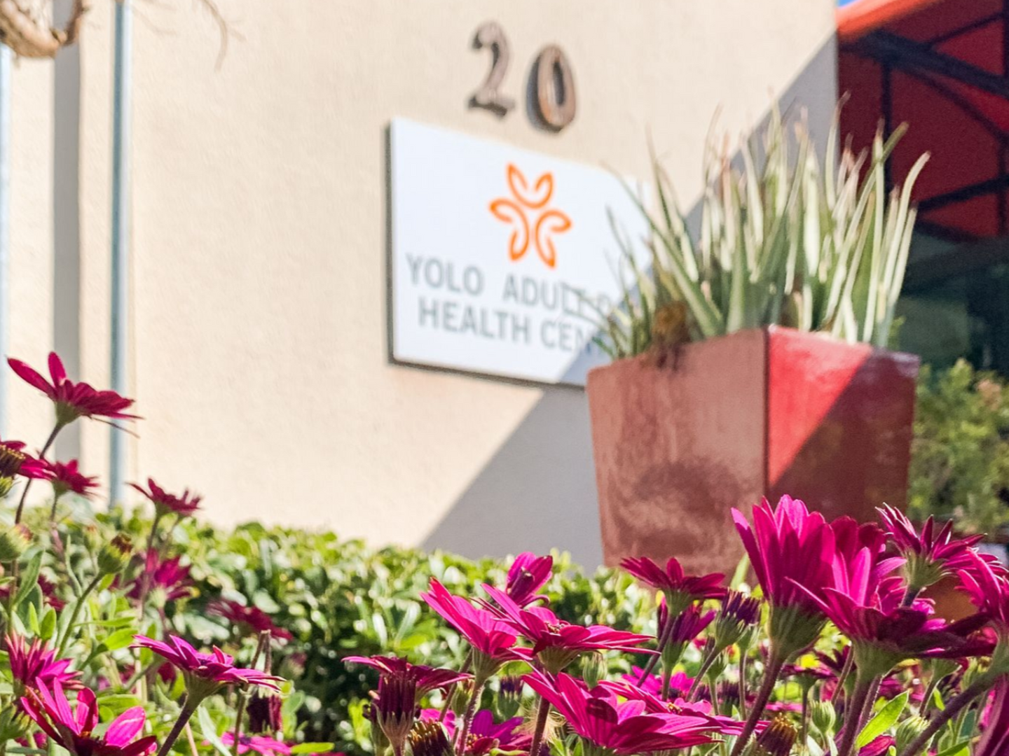 Yolo Adult Health Center sign behind pink flowers and a potted plant at building entrance