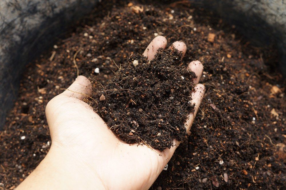 A Person is Holding a Pile of Dirt in Their Hand — Frost 4 Sand In Killarney Vale, NSW