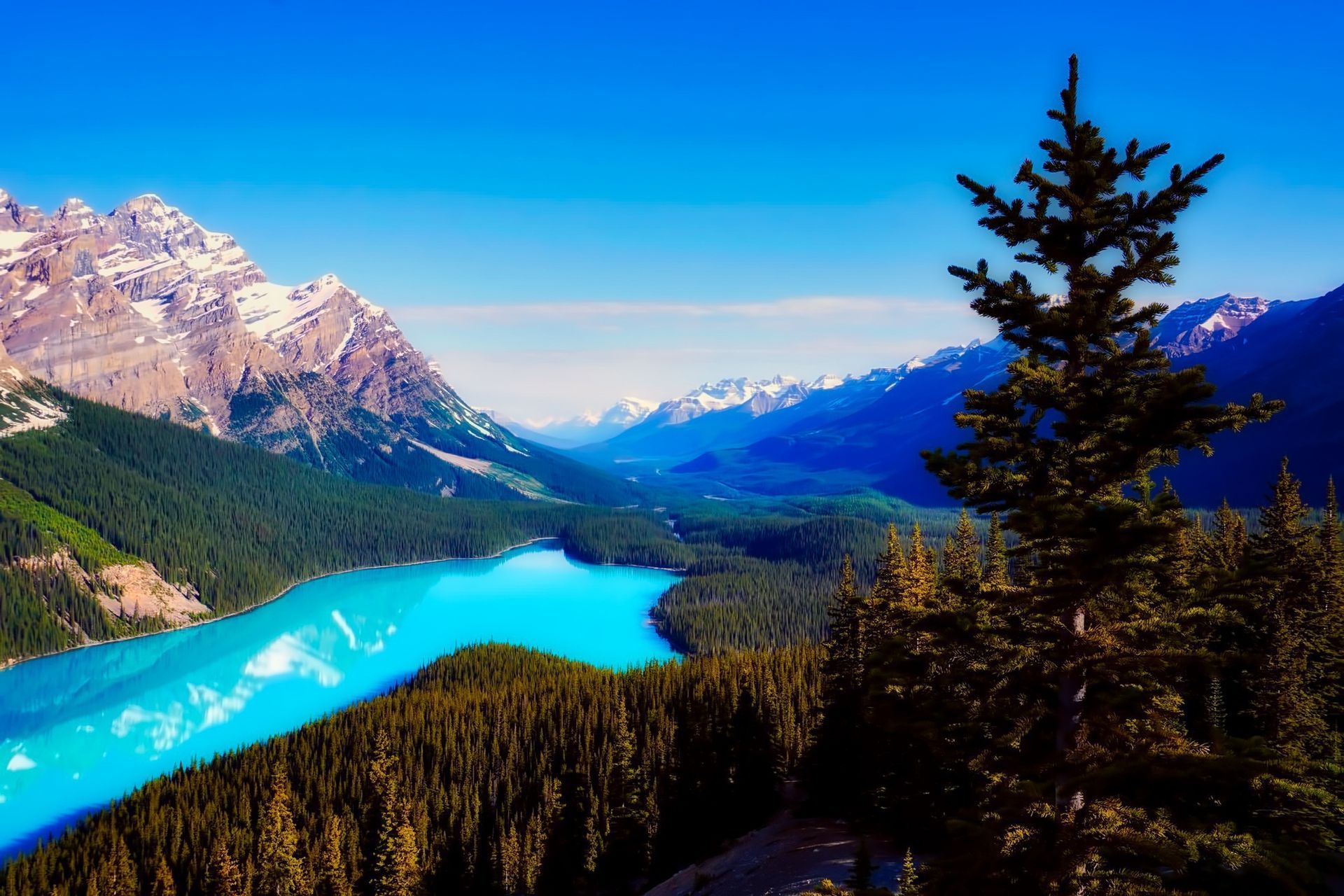Peyto Lake, Banff