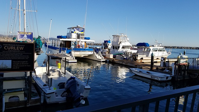 Dana Point marina