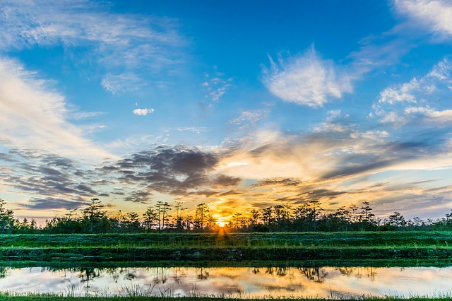 The sun is setting over the everglades