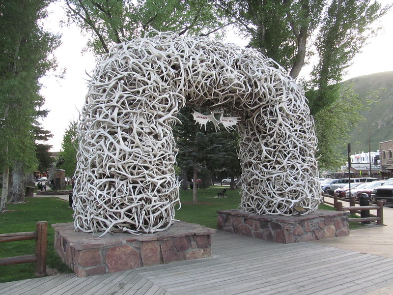 The Jackson elk antler arches