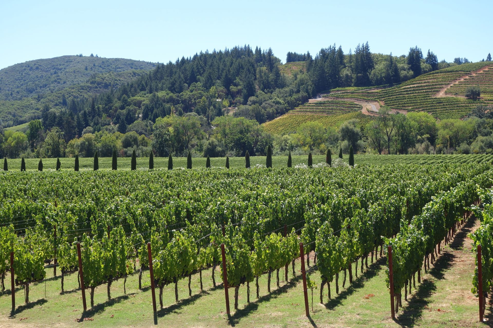 Napa Valley