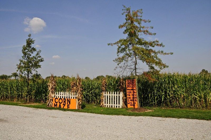 The great vermont corn maze