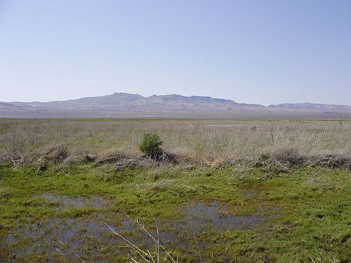 A large grassy field with mountains and a swamp in Humboldt State Wildlife Management Area
