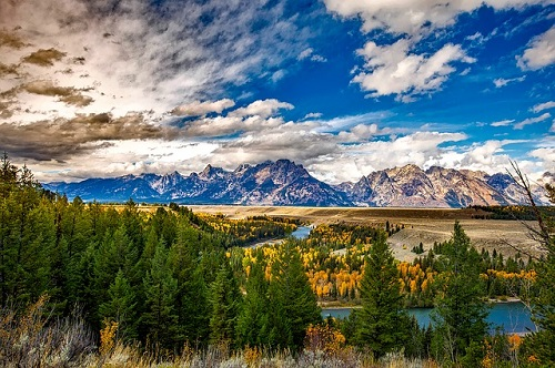 A river flowing through a forest in grand teton np with mountains in the background
