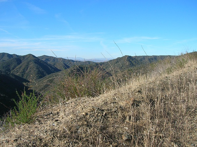 A dry grassy hillside with mountains in the background and a blue sky in Santa Monica Mountains National Recreation Area
