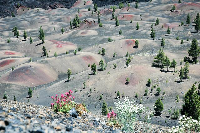 A painted desert landscape with trees and flowers in the foreground in lassen volcanic np