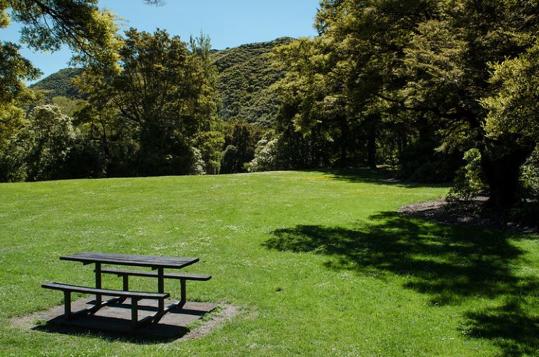 A picnic table is sitting in the middle of a lush green field.