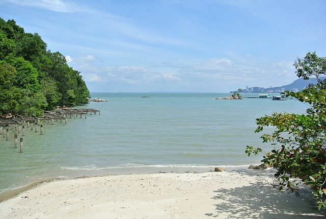 A view of the ocean from a beach in penang with trees in the foreground
