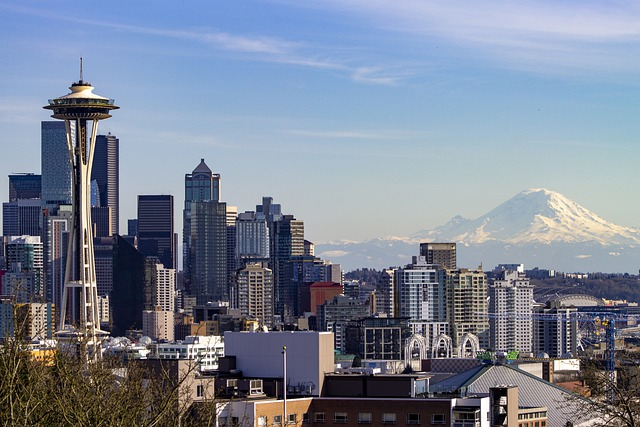 the seattle skyline with a mountain in the background.