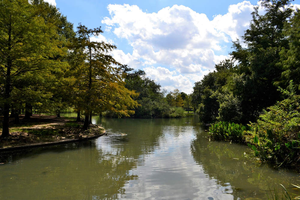 A large body of water in Houston surrounded by trees on a sunny day.