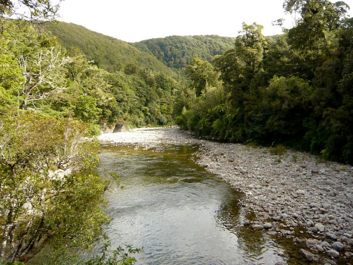 A river surrounded by trees and rocks in the middle of a forest.