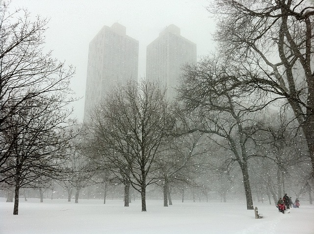 A snowy central park in nyc with trees and buildings in the background