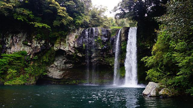 A waterfall is surrounded by trees and rocks in the middle of a forest in jeju.