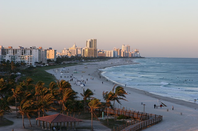 miami beach with palm trees and buildings in the background