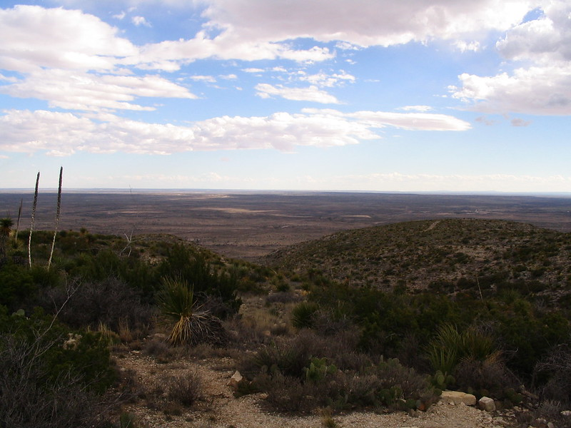 A desert landscape at Carlsbad Caverns National Park