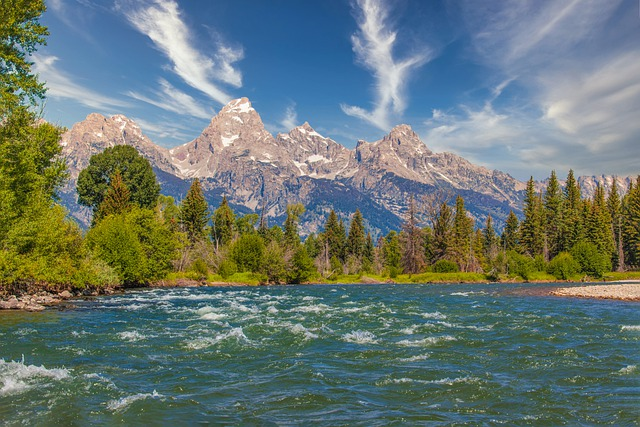 A river flowing through a forest with mountains in the background in Grand Teton NP.