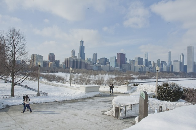 A snowy park with a city skyline in the background