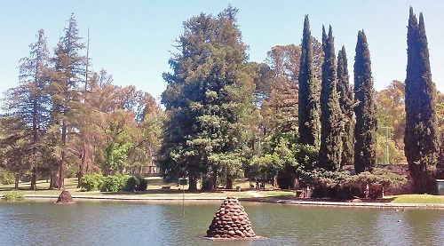 A lake with trees in the background and a rock in the middle in Sacramento