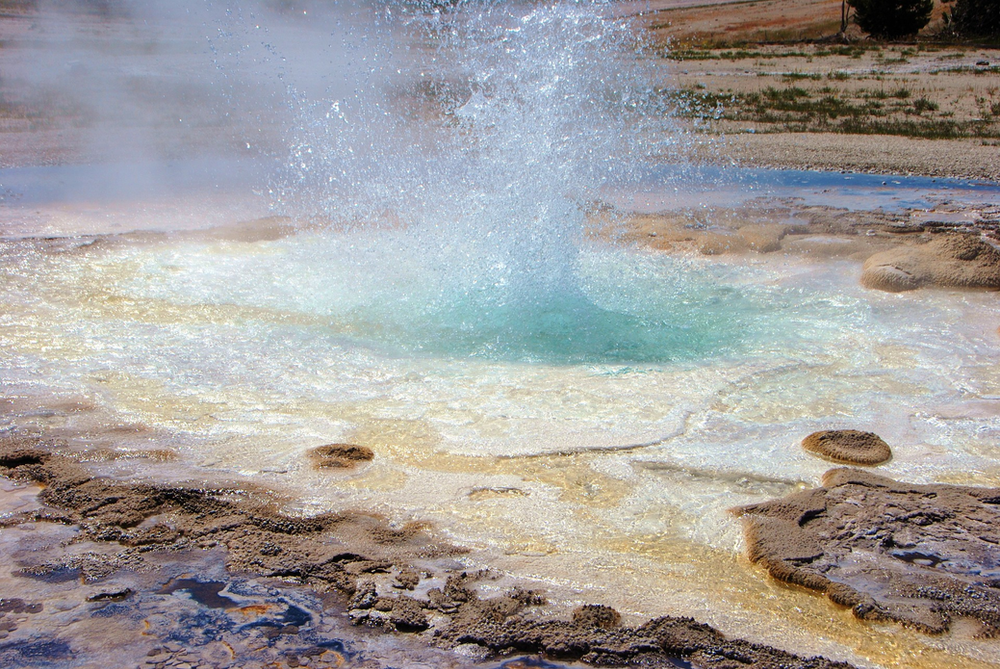 A geyser is erupting in Yellowstone NP