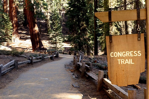 The start of the congress trail in sequoia np