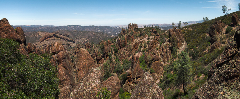 A mountain covered in trees at Pinnacles NP
