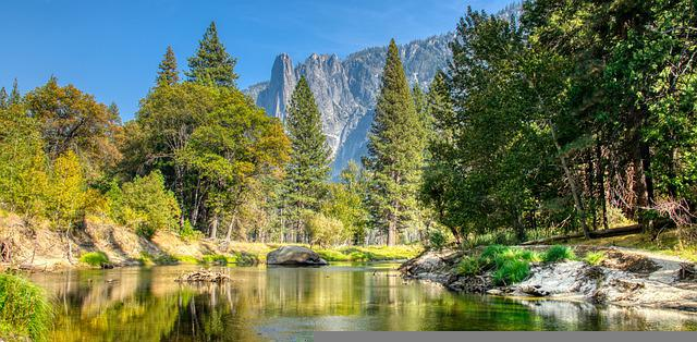 A river running through a forest in yosemite np with a mountain in the background.