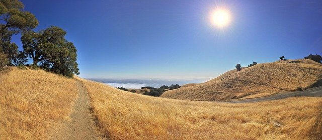 Mount Tamalpais