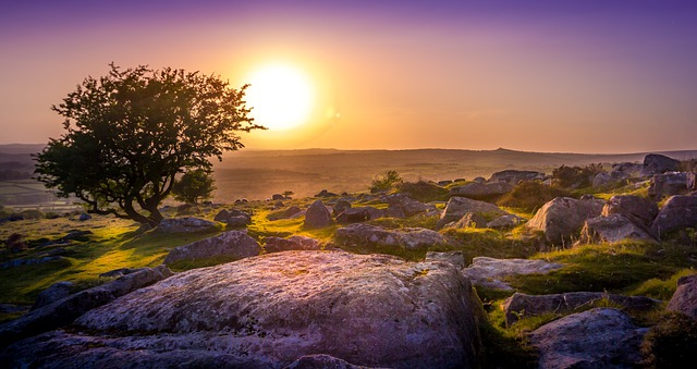 The sun is setting over a rocky landscape in Dartmoor NP with a tree in the foreground.