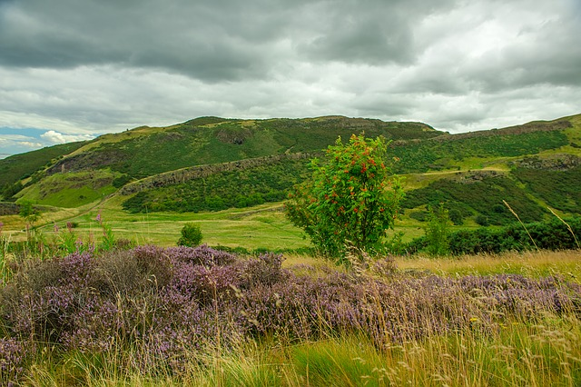 Holyrood Park