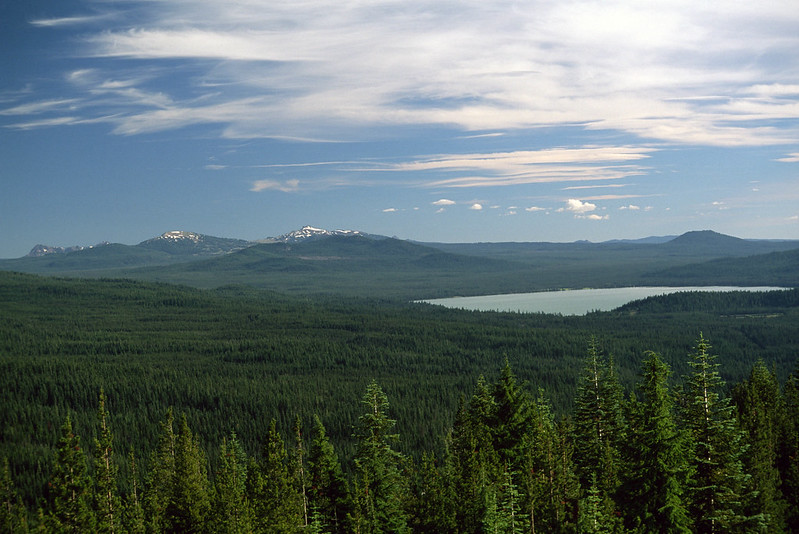 There is a lake in the middle of Umpqua National Forest with mountains in the background.
