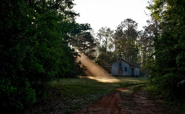 The sun is shining through the trees on a dirt road leading to a house in Tuskegee National Forest 