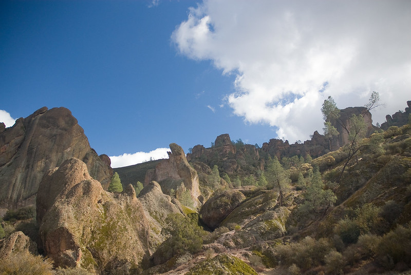 A landscape of rocks and trees at Pinnacles National Park
