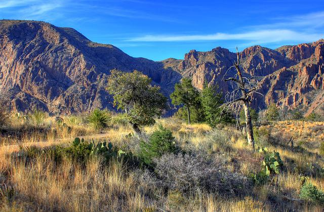 Chisos Mountains at Big Bend National Park