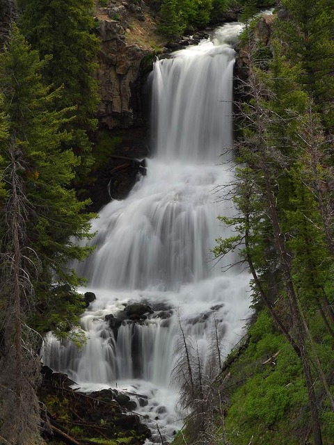 Yellowstone Falls