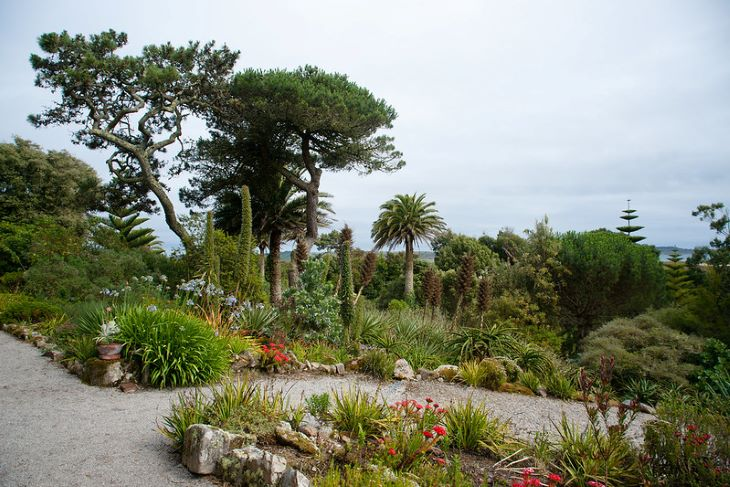 A garden filled with lots of plants and trees on the Isles Of Scilly