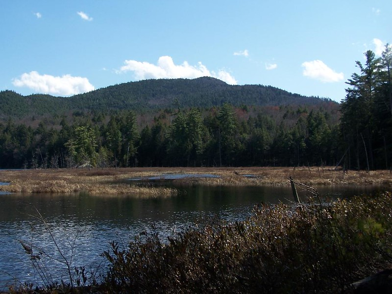 A lake in the middle of Pharaoh Lake and Dix Mountain wilderness areas with a mountain in the background.